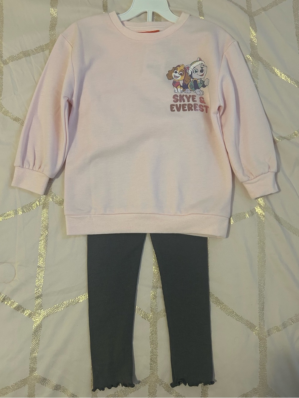 Paw patrol toddler pants and sweater set